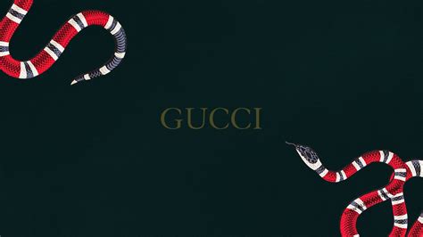 modello gucci 1920 1080|wallpaper 1080x1080 gucci.